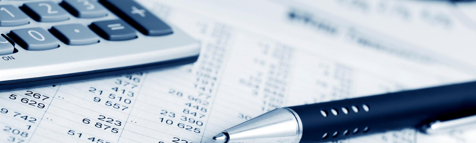 AMH Accounting Experts