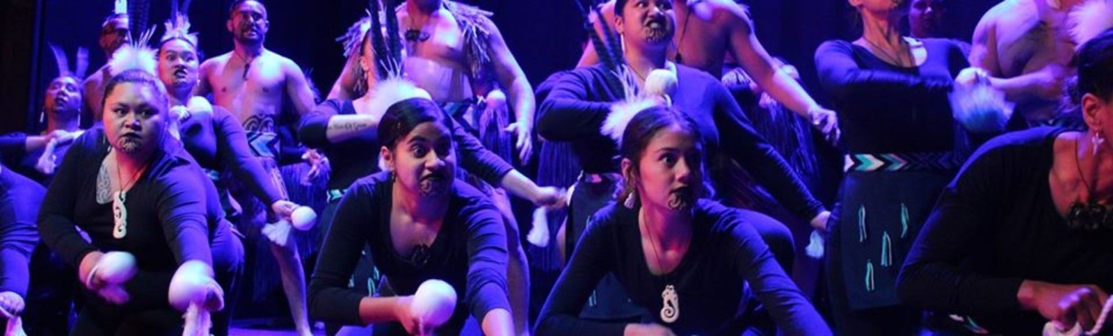 Ngā Mātai Pūrua Inc