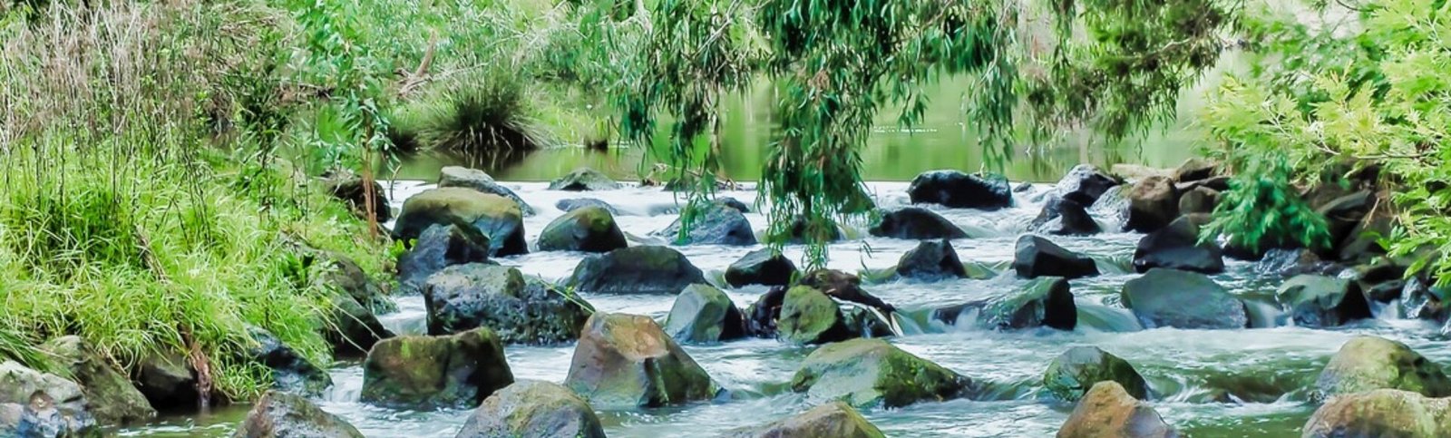 Werribee River Association Werribee Riverkeeper